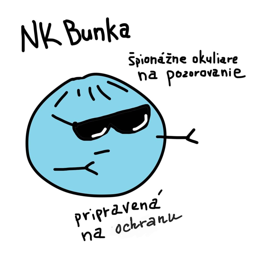 NK bunka-hero